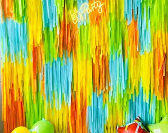 Customizable Premium Plush Fringe Backdrop Party Decor With Color ...