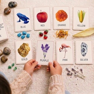 Puede incluir: Un conjunto de tarjetas educativas con ilustraciones de objetos y animales etiquetadas con colores como azul, rojo, naranja, amarillo, oro, morado, rosa y plata. Las tarjetas están dispuestas sobre una superficie junto a piedras, nueces y flores secas.