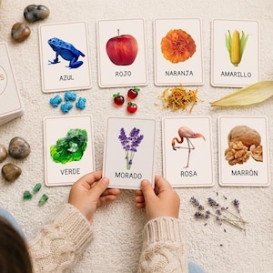 Puede incluir: Un juego de tarjetas educativas con el título Colores que muestra ilustraciones de una rana azul, manzana roja, flor naranja, maíz amarillo, brócoli verde, lavanda morada, flamenco rosa y nueces marrones, junto a objetos reales a juego.