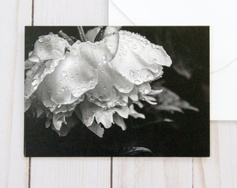 Greeting Card, Blank Note Card, Any Occasion Card, Peony Flower, Black & White Photography, Sympathy Card, Fine Art, Professional Business