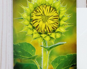Greeting Card, Blank Note Card, Any Occasion Card, Sunflower, Thinking of You, Mother Card, Grandmother Card, Birthday Card, Photo, Summer
