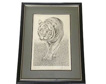 Bengal Tiger Etching Print signed Warren Davis 20” x 26”