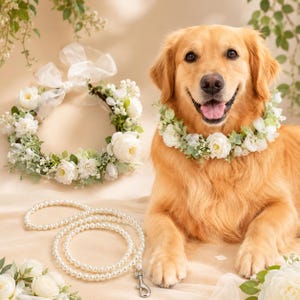 Puede incluir: Un golden retriever con un collar floral de rosas blancas y follaje verde, acompañado de una corona de flores a juego con un lazo blanco y una correa larga hecha de perlas blancas con un cierre de metal plateado.
