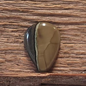 Blue Mountain Jasper Cabochon