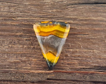 Bumble Bee Jasper Cabochon