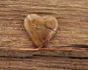 Cabochon cuore di legno pietrificato