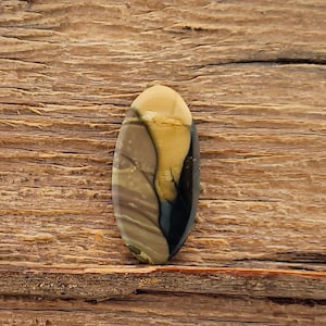 Blue Mountain Jasper Cabochon