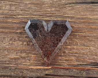 Cabochon geometrico a forma di cuore di dinosauro pietrificato
