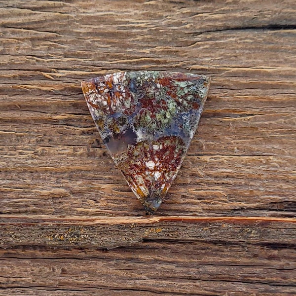 Petrified Dinosaur Coprolite (poop) Cabochon