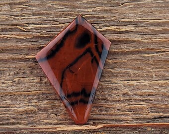 Cabochon in legno pietrificato dell'Arizona