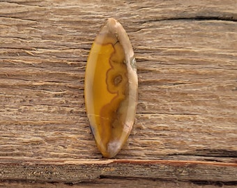 Cabochon Agate du Kentucky