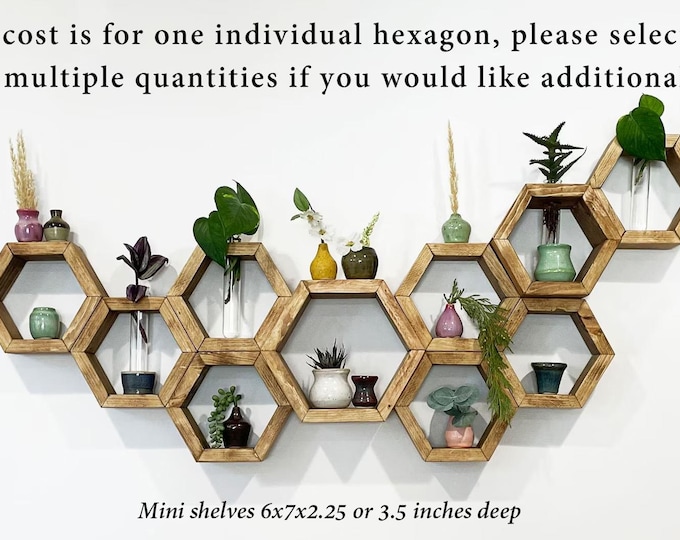 Small Hexagon Shelves - plant propagation shelf