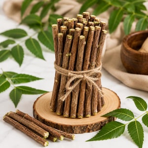 Könnte beinhalten: Ein Bündel brauner Neem-Zweige, die mit einer natürlichen Juteschnur zusammengebunden sind. Die zylindrischen Holzstäbchen sind vertikal angeordnet und stehen auf einer runden Holzscheibe. Einige lose Zweige liegen horizontal im Vordergrund.