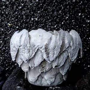 Artisan Caudex Pot - Luxury Rare Cactus Planter Handmade Wabi Sabi Ceramic Pot for Euphorbia, Copiapoa, Ariocarpus; Designer Succulent Pot