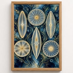 Könnte beinhalten: Ein gerahmter Wandkunstdruck mit einem tiefblauen und goldenen Hintergrund mit komplizierten, symmetrischen, mikroskopisch anmutenden biologischen Mustern. Das Design umfasst fünf verschiedene kreisförmige und längliche Formen.