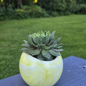 Handmade Resin Succulent Planter, Yellow and White Marbled Plant Pot, Small Decorative Indoor Planter