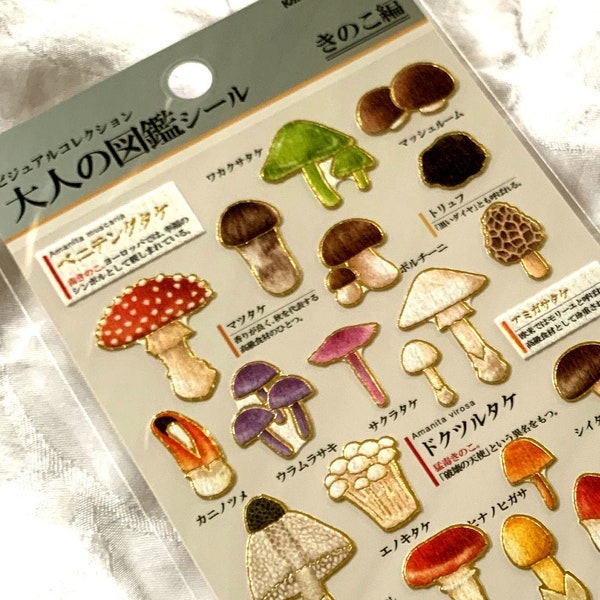 J Kamio Japan Texture Crinkle Washi Paper Sticker Sheet: Adult Encyclopedia MUSHROOMS Mixed Fungus Toadstool Mushroom FungiNew Year