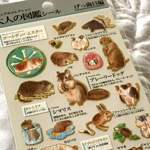 J Kamio Japan Texture Crinkle Washi Papier Aufkleber Bogen: Enzyklopädie NAGETIERER Meerschweinchen Präriehund Fliegendes Eichhörnchen Streifenhörnchen Hamster
