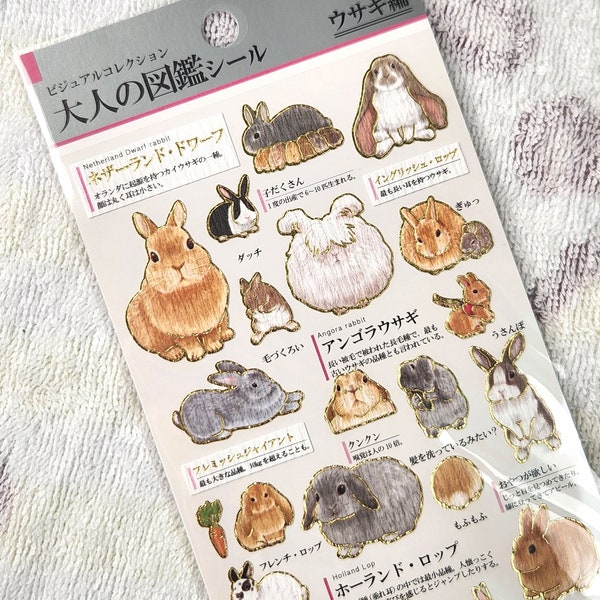 J Kamio Japan Texture Crinkle Washi Paper Sticker: Adult Encyclopedia RABBITS Bunny Lapin Lop Varieties Variety Fluffy Long Hair Illustrated
