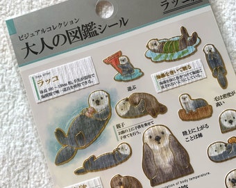 J Kamio Japan Texture Crinkle Washi Paper Sticker: Adult Encyclopedia OTTER Wildlife Sea Ocean Eating Urchin Playtime Playful Cuddly Animal