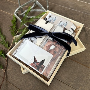 Pack fête poney. Coffret cadeau papeterie.