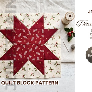 Puede incluir: Un bloque de edredón cuadrado con una estrella roja central con motivos de agujas de pino blancas y estrellas doradas, sobre un fondo crema con estampados de acebo. El texto incluye JT5041, Three sizes, 9.5 inch, 12.5 inch, 15.5 inch, Level Beginner y QUILT BLOCK PATTERN.