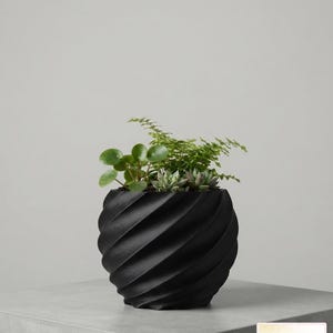 May include: A matte black planter with a spiraling, twisted ribbed texture containing a variety of small green plants, including a succulent and a fern. A small rectangular label in the bottom right corner displays the text Florea DECOR.