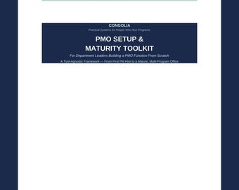 PMO Einrichtungsreife-Toolkit - IT PMO Build-Vorlage für das rankreich | Bearbeitbares Wort .docx