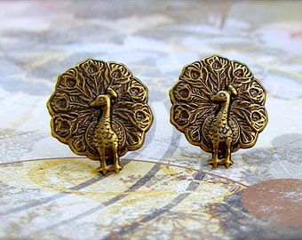 Peacock - antique brass post earrings - P185