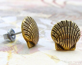 Brass Seashell post earrings - P155