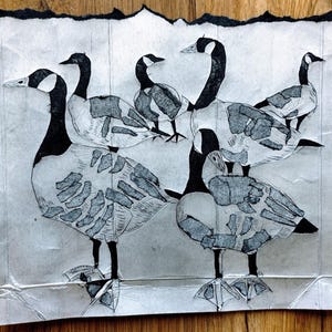 Pode incluir: Um desenho a tinta preta e branca em papel texturizado apresentando cinco gansos-do-canad&aacute;. Os gansos s&atilde;o retratados com linhas detalhadas e manchas sombreadas em seus corpos, posicionados em grupo. O papel tem uma borda superior rasgada.