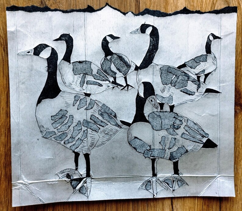 Pode incluir: Um desenho a tinta preta e branca em papel texturizado apresentando cinco gansos-do-canad&aacute;. Os gansos s&atilde;o retratados com linhas detalhadas e manchas sombreadas em seus corpos, posicionados em grupo. O papel tem uma borda superior rasgada.
