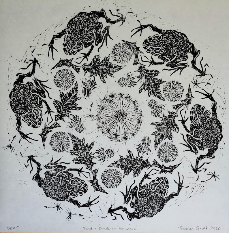Pu&ograve; includere: Una stampa circolare in linoleografia in bianco e nero intitolata Toad + Dandelion Mandala. L'opera presenta un motivo ripetitivo di quattro rospi e fiori di tarassaco disposti in un design radiale. Il testo OEV 5 e Thomas Gnett 2026 &egrave; visibile.