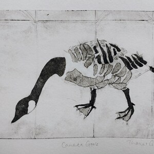 Puede incluir: Una impresi&oacute;n en blanco y negro sobre papel que presenta una ilustraci&oacute;n del esqueleto de un ganso canadiense. La obra muestra el cuello y la cabeza del ave en negro s&oacute;lido, con la caja tor&aacute;cica y el cuerpo en forma esquel&eacute;tica. El texto Canada Goose est&aacute; escrito debajo.