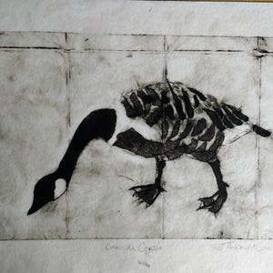 Puede incluir: Un grabado en blanco y negro sobre papel texturizado que representa un ganso de Canad&aacute; con una estructura corporal esquel&eacute;tica. La obra presenta un cuello y cabeza oscuros y s&oacute;lidos, con el cuerpo representado en formas segmentadas similares a huesos. La impresi&oacute;n est&aacute; firmada y numerada 1/6.