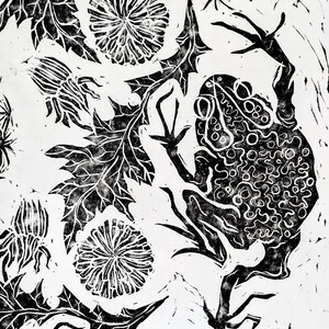 Pu&ograve; includere: Una stampa in linoleum in bianco e nero raffigurante un rospo testurizzato con il dorso verrucoso posizionato tra diversi fiori di tarassaco e foglie frastagliate. Il design grafico ad alto contrasto usa linee di inchiostro nero su bianco.