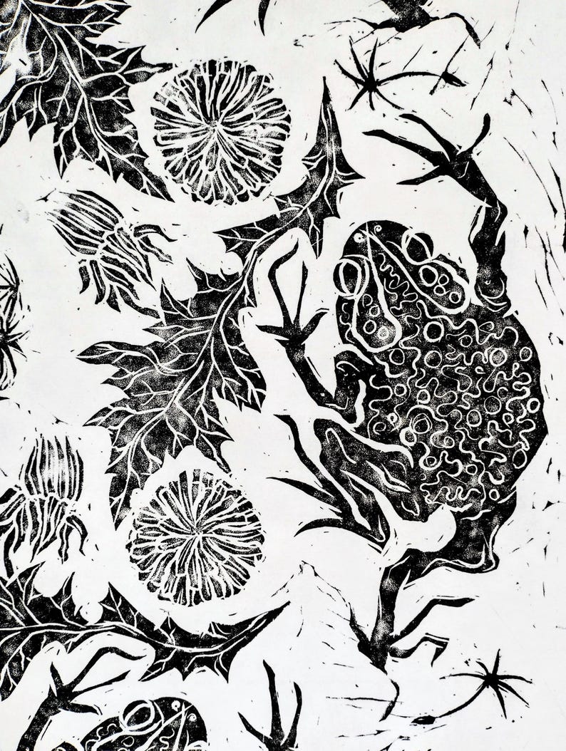 Pu&ograve; includere: Una stampa in linoleum in bianco e nero raffigurante un rospo testurizzato con il dorso verrucoso posizionato tra diversi fiori di tarassaco e foglie frastagliate. Il design grafico ad alto contrasto usa linee di inchiostro nero su bianco.