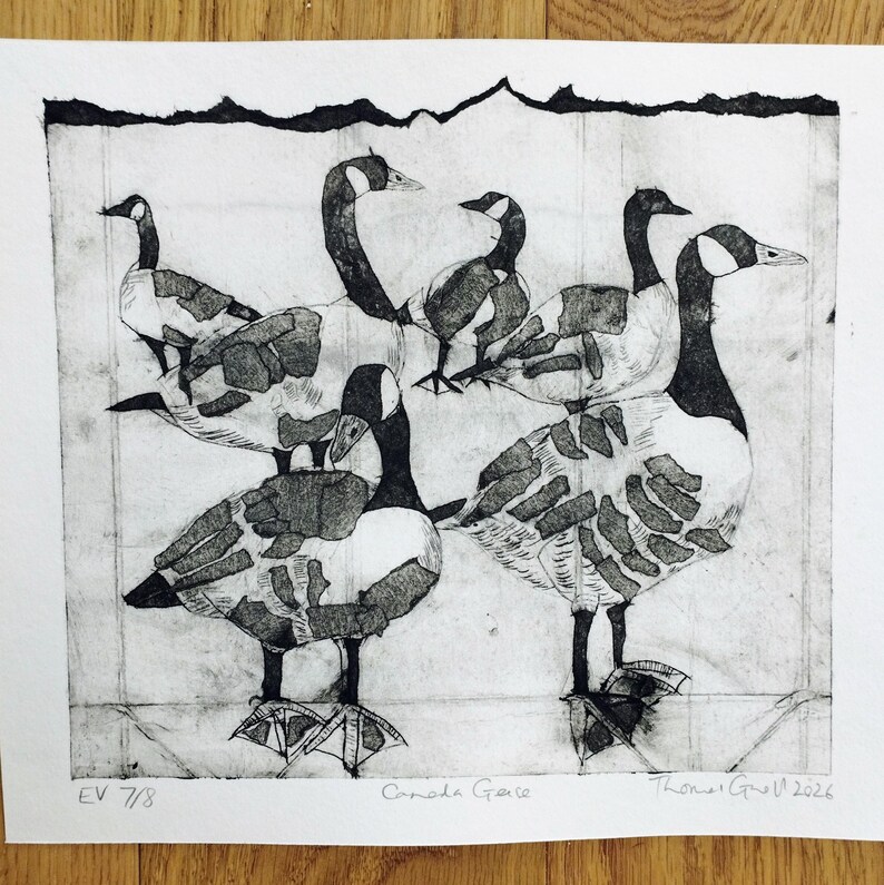 Pode incluir: Uma impress&atilde;o em preto e branco em papel apresentando cinco gansos-do-canad&aacute; com padr&otilde;es texturizados em forma de blocos em seus corpos. A obra inclui o texto manuscrito "EV 7/8", "Canada Geese" e a assinatura "Thomas Groll 2026".
