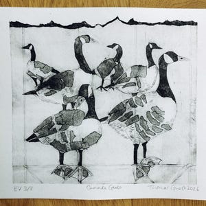 Pode incluir: Uma impress&atilde;o em preto e branco em papel apresentando cinco gansos-do-canad&aacute; com padr&otilde;es de penas texturizados e em camadas. A obra inclui o texto manuscrito "EV 3/8", "Canada Geese" e "Thomas Ghost 2026" na borda inferior.