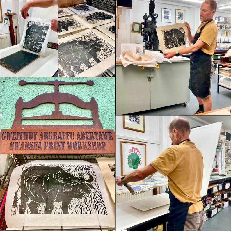May include: A collage showing a printmaking process at Swansea Print Workshop. It features a black ink linocut print of a bull on paper, a metal printing press, and a person in a yellow shirt and black apron working with the equipment.