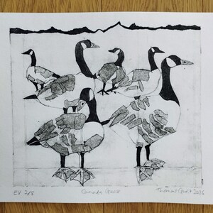 Pode incluir: Uma impress&atilde;o em preto e branco em papel apresentando cinco gansos do Canad&aacute; com detalhes de asas texturizados. No canto inferior esquerdo l&ecirc;-se EV 2/8, no centro Canada Geese e no canto inferior direito est&aacute; assinado Thomas Gunt 2026.