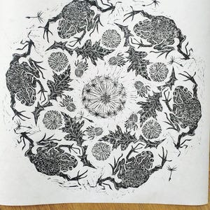 Circular black and white linocut art repeat print featuring textured toads arranged in a radial mandala design surrounded by dandelion flowers, leaves, and floating seeds on white Japanese washi paper.