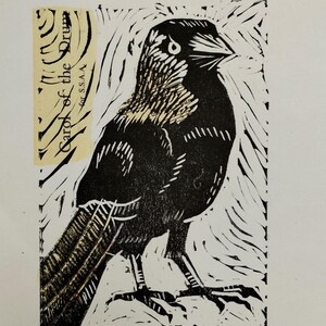 K&ouml;nnte beinhalten: Ein schwarz-wei&szlig;er Linolschnitt eines nach rechts blickenden Vogels mit strukturierten Tintenstrichen und einem cremefarbenen Papierstreifen auf der linken Seite, der den Text "Carol of the Drum" und "for S.S.A.A." in schwarzer Serifenschrift tr&auml;gt.
