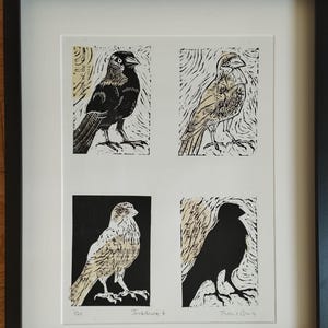K&ouml;nnte beinhalten: Ein gerahmter Druck mit vier verschiedenen Feldern von Dohlen in schwarzer Tinte auf wei&szlig;em Hintergrund mit beigen Papierakzenten. Das Kunstwerk enth&auml;lt den handschriftlichen Text "1/20", "Jackdaws 4" und "Thorn & Co 16" auf dem wei&szlig;en Passepartout.