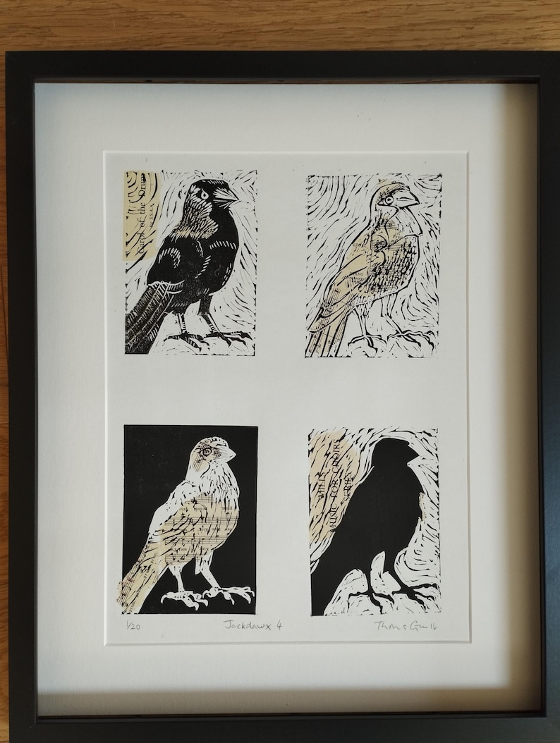 K&ouml;nnte beinhalten: Ein gerahmter Druck mit vier verschiedenen Feldern von Dohlen in schwarzer Tinte auf wei&szlig;em Hintergrund mit beigen Papierakzenten. Das Kunstwerk enth&auml;lt den handschriftlichen Text "1/20", "Jackdaws 4" und "Thorn & Co 16" auf dem wei&szlig;en Passepartout.
