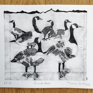 Pode incluir: Uma impress&atilde;o a preto e branco em papel com cinco gansos-do-canad&aacute; com corpos texturizados e estampados. A obra inclui o texto manuscrito 'EV 1/8', 'Canada Geese' e 'Thomas Grist 2026' na margem inferior da borda branca do papel.