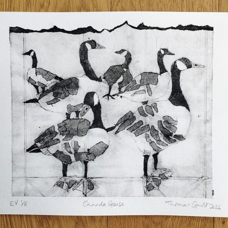 Pode incluir: Uma impress&atilde;o a preto e branco em papel com cinco gansos-do-canad&aacute; com corpos texturizados e estampados. A obra inclui o texto manuscrito 'EV 1/8', 'Canada Geese' e 'Thomas Grist 2026' na margem inferior da borda branca do papel.