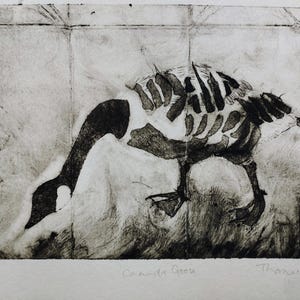 Puede incluir: Un grabado en blanco y negro sobre papel que representa el esqueleto de un ganso canadiense. La impresi&oacute;n incluye el texto Canada Goose, el n&uacute;mero de edici&oacute;n 6/6 y la firma del artista Thomas Grist. La obra muestra un fondo texturizado con tinta.