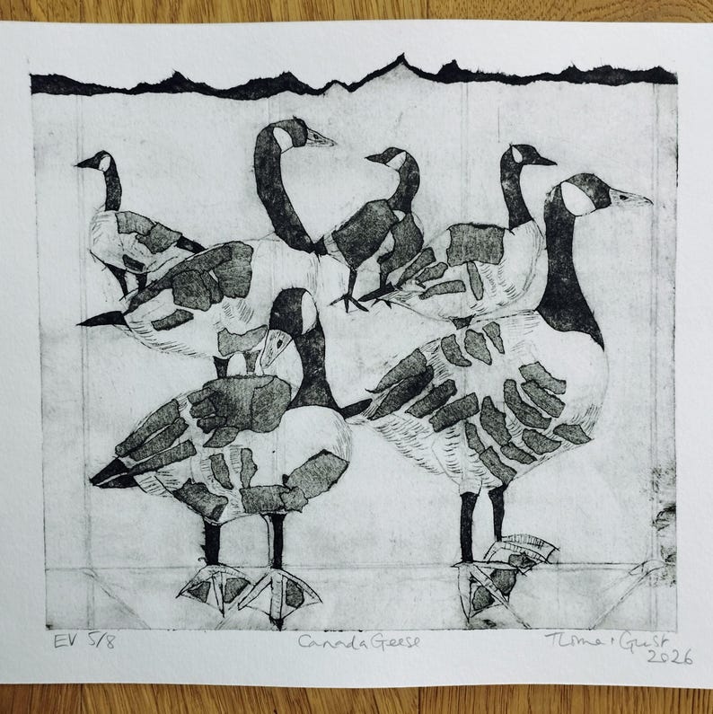 Pode incluir: Uma impress&atilde;o a preto e branco em papel apresentando um grupo de gansos-do-canad&aacute; com padr&otilde;es texturizados em forma de blocos nos seus corpos. A obra inclui o texto manuscrito "EV 5/8", "Canada Geese" e uma assinatura com a data "2026".