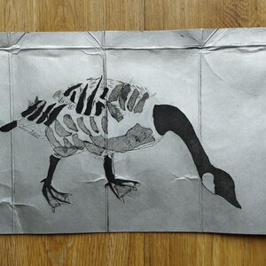 Puede incluir: Un dibujo en tinta negra y blanca sobre un papel arrugado que representa un ganso con una caja tor&aacute;cica visible. El ganso se muestra de perfil, mirando hacia abajo, con el cuello y la cabeza negros y una estructura esquel&eacute;tica detallada.
